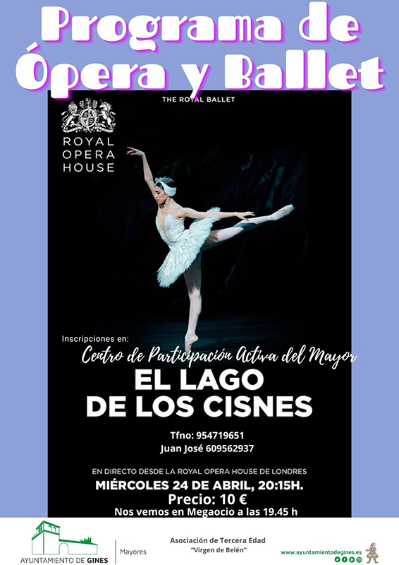 Cartel de PRUEBA · Concierto de test